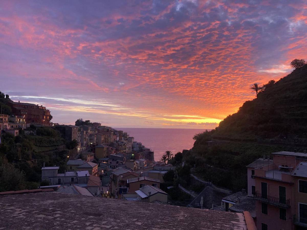 La Casa Del Gallerista Manarola Luaran gambar